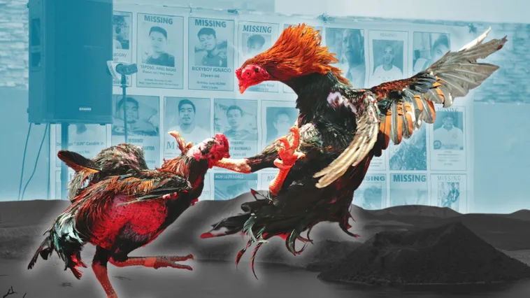 Bí Kíp Chơi Đá Gà Sabong Tại 789Bet Chắc Thắng Như Lão Làng