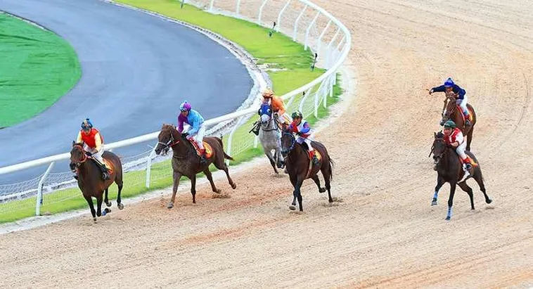 Khám Phá Thế Giới Cá Cược Đua Ngựa 789Bet Đỉnh Cao Cùng Bí Kíp