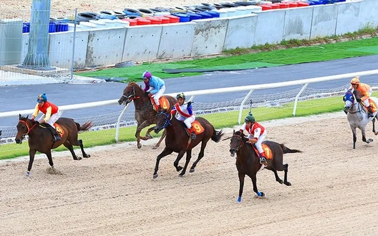 Khám Phá Thế Giới Cá Cược Đua Ngựa 789Bet Đỉnh Cao Cùng Bí Kíp