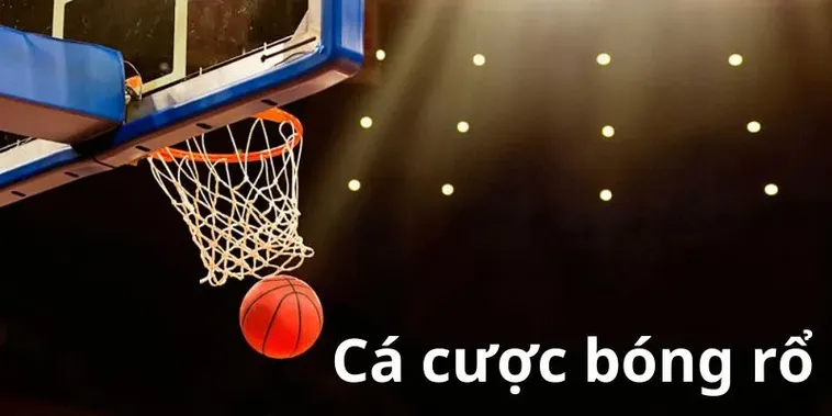 Tìm Hiểu Cá Cược Bóng Rổ 789Bet Chinh Phục Kèo NBA Cực Dễ Dàng